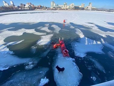 В центре Челябинска спасатели вытащили собаку с льдины
