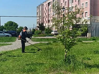 В Копейске продолжают работы по покосу травы