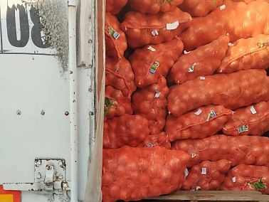 Через Челябинскую область ввезли около 1,1 тысячи тонн овощей и фруктов