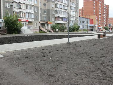 В Копейске решат вопрос с засохшими деревьями на проспекте Коммунистическом