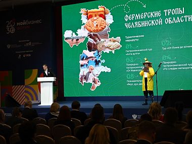 Сразу три челябинских проекта по поддержке предпринимательства прошли в финал Национальной премии «Мой бизнес»