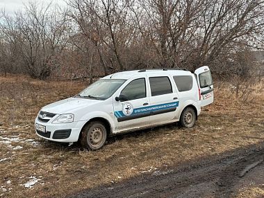 В Копейске ликвидировали последствия незаконного сброса биологических отходов