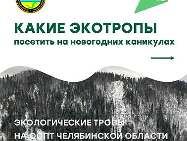 Новогодние каникулы – отличное время для путешествий!