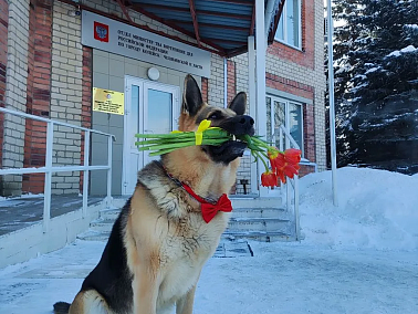 Полиция Копейска подарила горожанкам цветы и полезные советы к 8 Марта