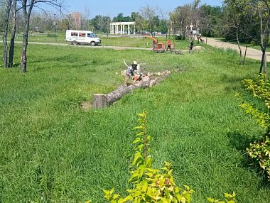 В Парке Победы начали сносить аварийные деревья