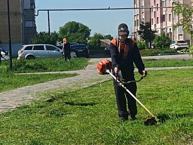 В Копейске определили подрядчика для покоса травы