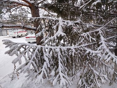 Морозный вторник ждёт копейчан 10 марта