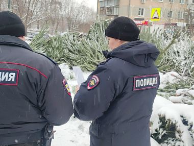 В Копейске конфисковали партию новогодних елей