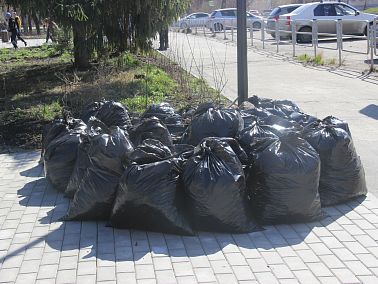 Копейчане могут сообщить о мусоре после субботника по горячей линии