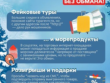 Полиция Челябинской области предупреждает: в предновогодний период активизировались мошенники