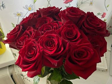 Более 2 миллионов цветов из Китая прошли контроль Россельхознадзора перед 8 Марта