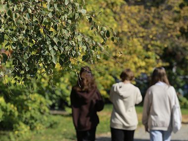 Жители УрФО рассказали, с кем хотят жить по соседству и о чем молчат в лифте