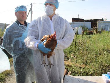 В Копейске провели учения по борьбе с птичьим гриппом