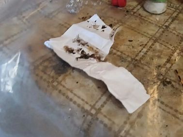 Полиция Копейска ликвидировала наркопритон